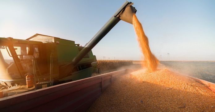 4 Farming Basics To Increase Crop Yields