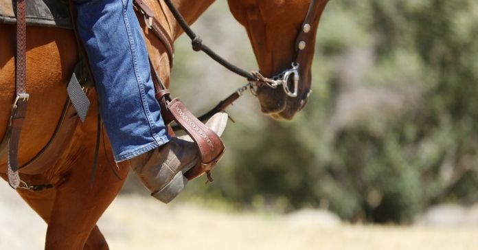 Essential Safety Gear When Horseback Riding