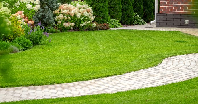 Top 4 Things That Can Bring Your Lawn to Life