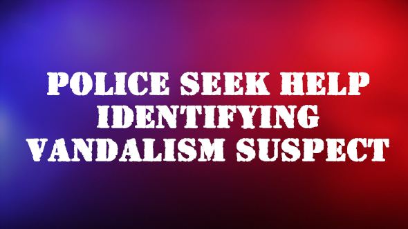 Police seek help identifying vandalism suspect