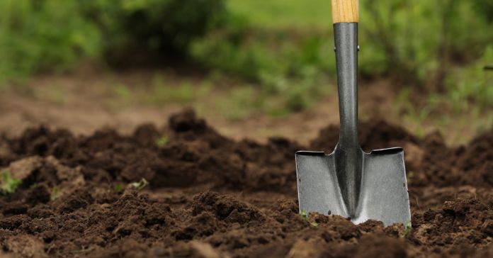 Top 3 Ways Aerating Soil Benefits Your Lawn