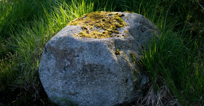 4 Key Tips for Removing Large Rocks From Your Yard