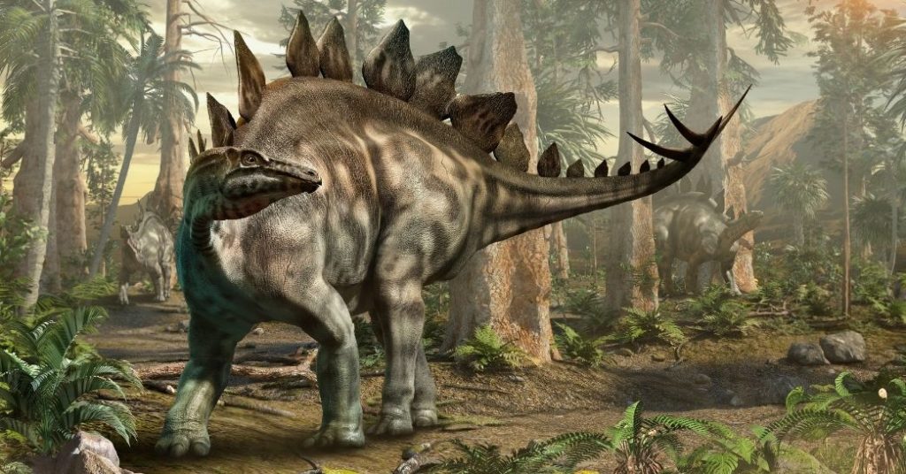 Dinosaur Knowledge: Interesting Facts About the Stegosaurus